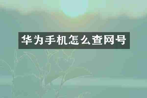 华为手机怎么查网号