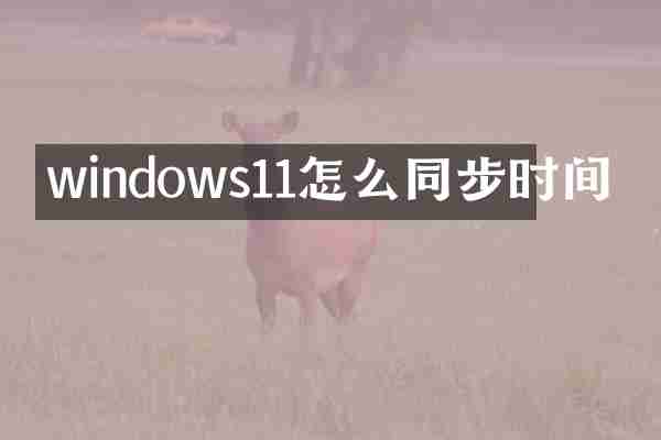 windows11怎么同步时间