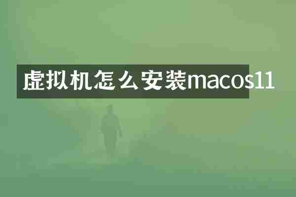 虚拟机怎么安装macos11