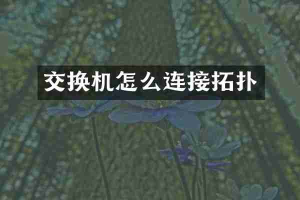 交换机怎么连接拓扑