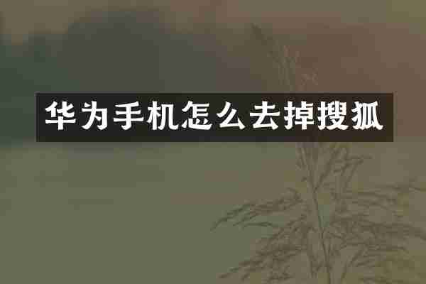 华为手机怎么去掉搜狐