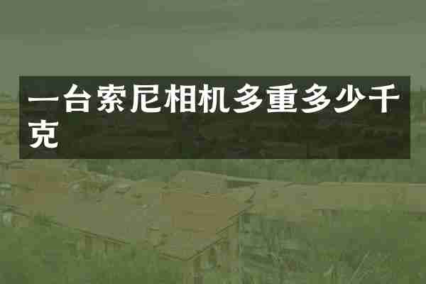 一台相机多重多少千克