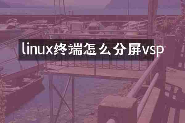 linux终端怎么分屏vsp