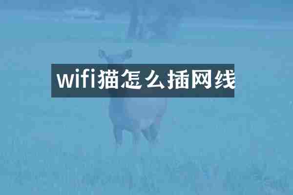 wifi猫怎么插网线