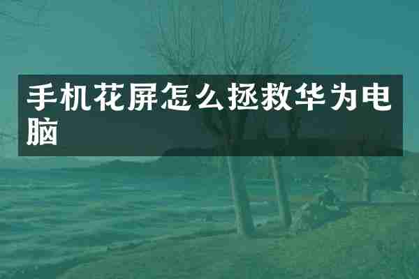 手机花屏怎么拯救华为电脑