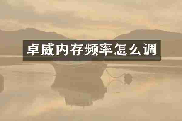 卓威内存频率怎么调