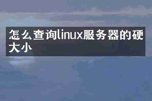 怎么查询linux服务器的硬盘大小