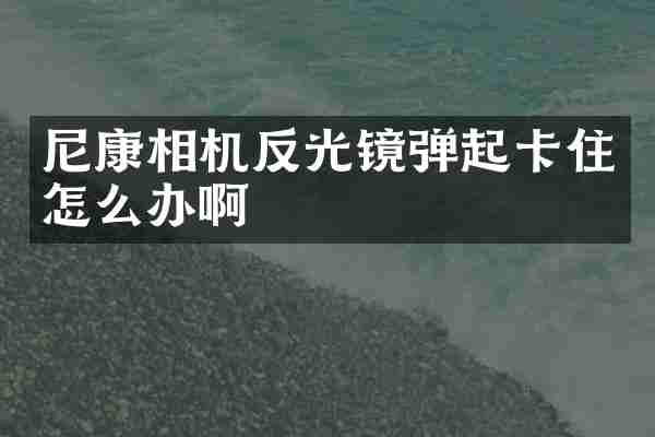 尼康相机反光镜弹起卡住怎么办啊
