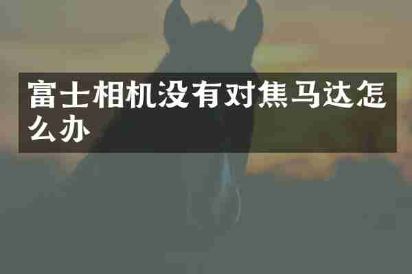 富士相机没有对焦马达怎么办