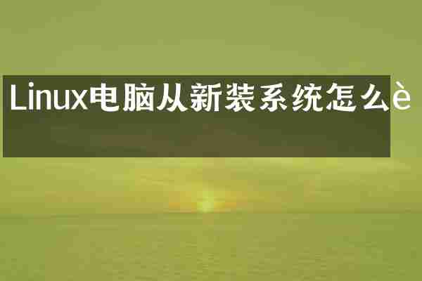Linux电脑从新装系统怎么装