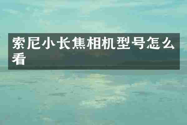 索尼小长焦相机型号怎么看