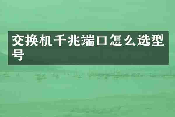 交换机千兆端口怎么选型号