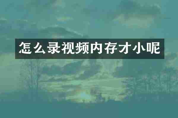 怎么录视频内存才小呢