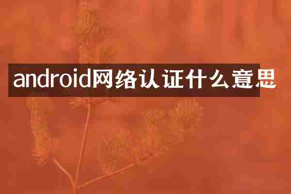 android网络认证什么意思