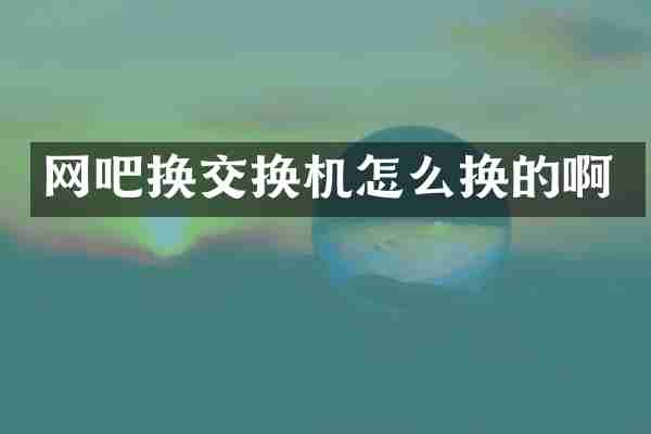 网吧换交换机怎么换的啊