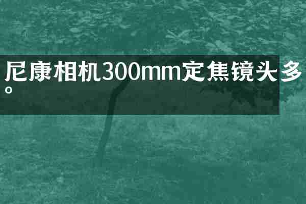 尼康相机300mm定焦镜头多少