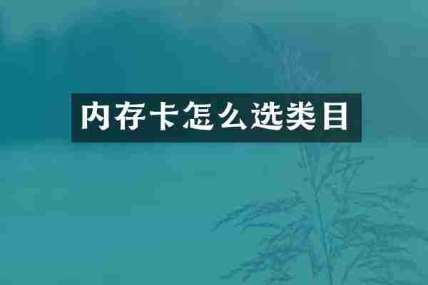内存卡怎么选类目