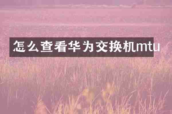 怎么查看华为交换机mtu