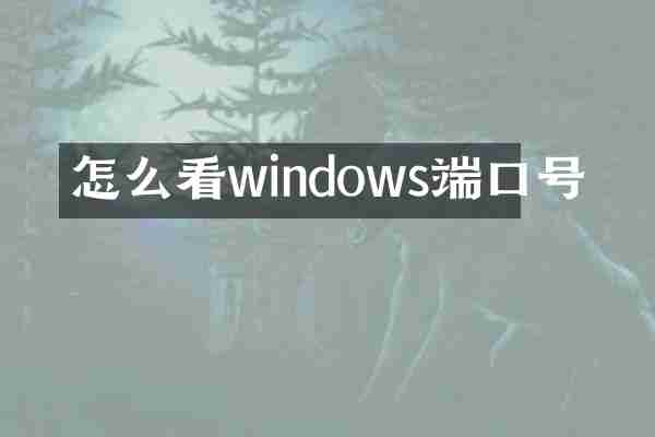 怎么看windows端口号