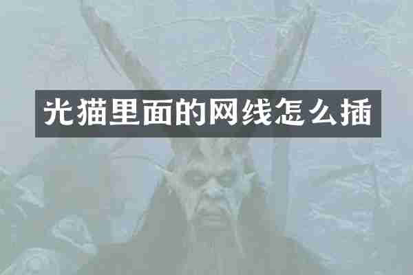 光猫里面的网线怎么插