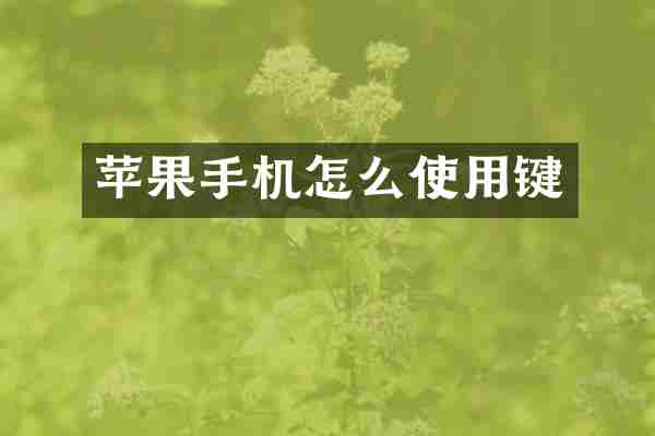 苹果手机怎么使用键