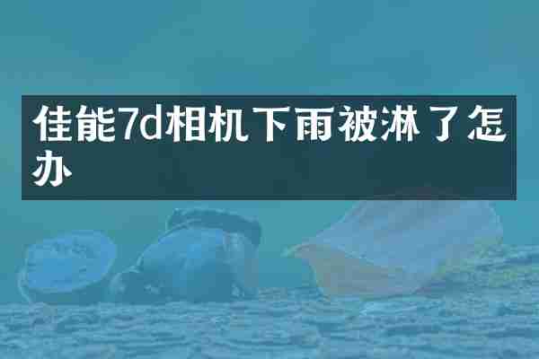 佳能7d相机下雨被淋了怎么办