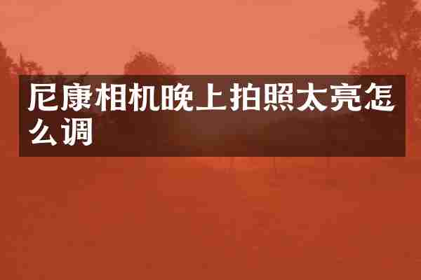 尼康相机晚上拍照太亮怎么调