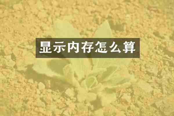 显示内存怎么算