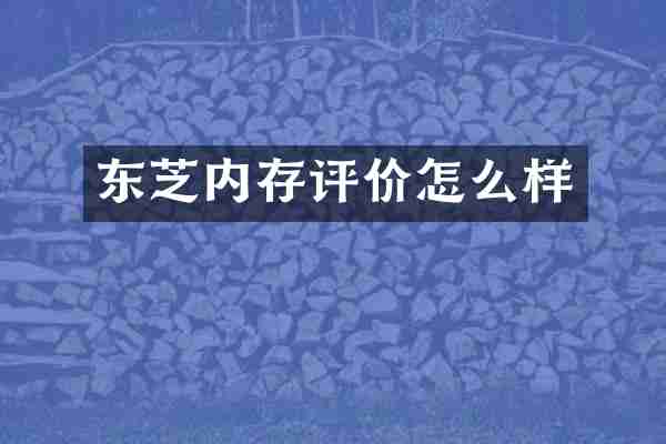 东芝内存评价怎么样