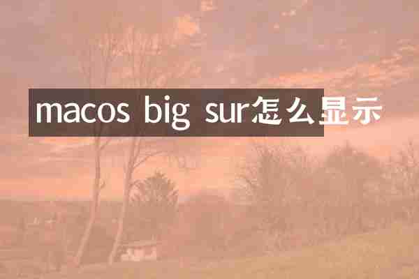 macos big sur怎么显示