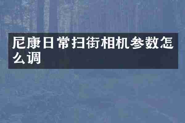 尼康日常扫街相机参数怎么调