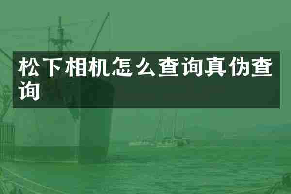松下相机怎么查询真伪查询