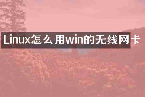 Linux怎么用win的无线网卡