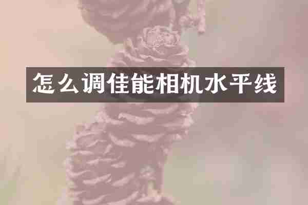 怎么调佳能相机水平线