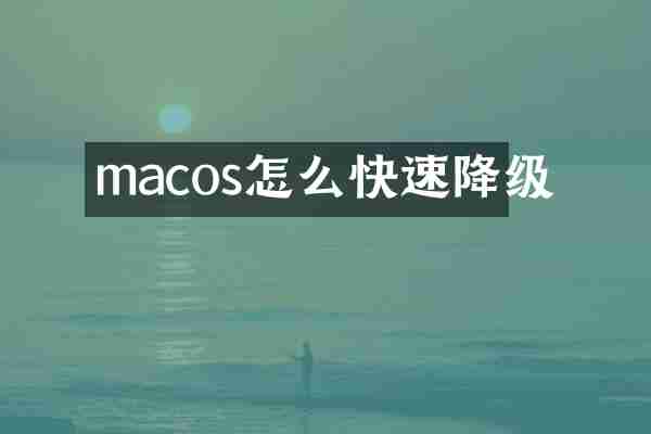 macos怎么快速降级