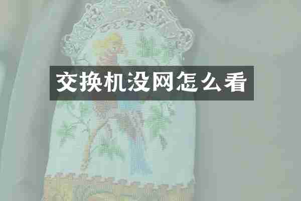 交换机没网怎么看