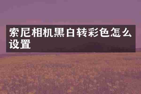 相机黑白转彩色怎么设置