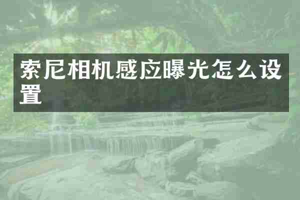 相机感应曝光怎么设置