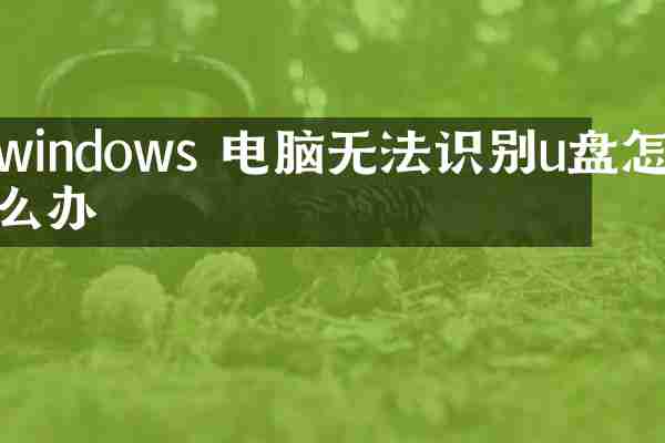 windows 电脑无法识别u盘怎么办