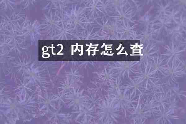 gt2 内存怎么查