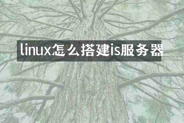 linux怎么搭建is服务器
