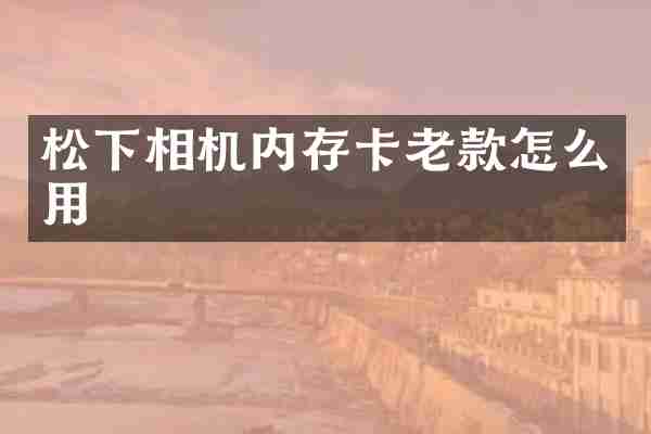 相机内存卡老款怎么用