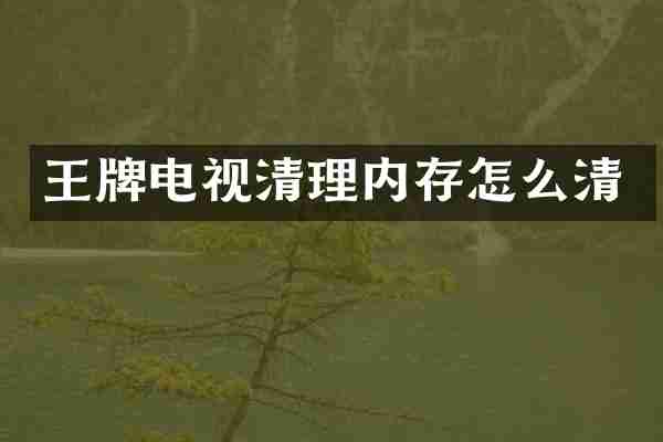 王牌电视清理内存怎么清
