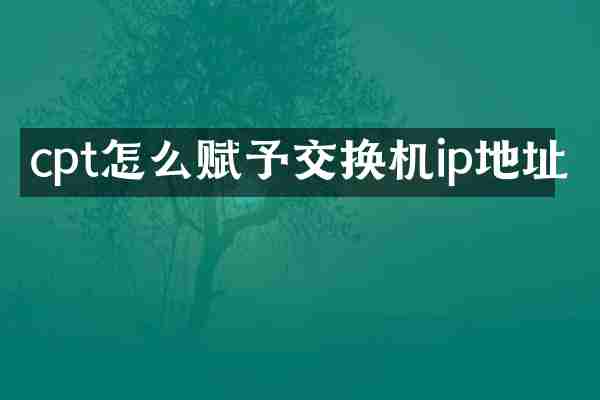 cpt怎么赋予交换机ip地址