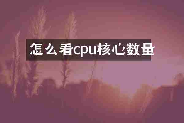 怎么看cpu核心数量