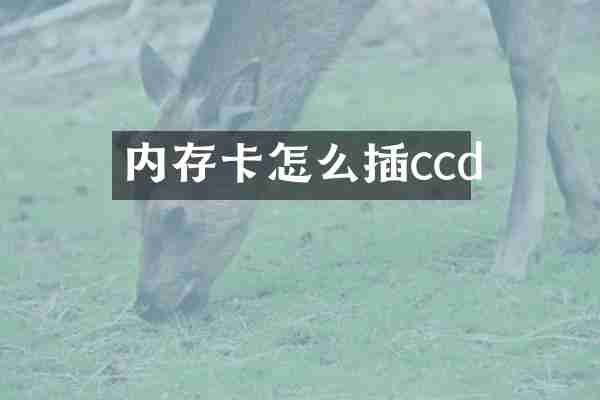 内存卡怎么插ccd