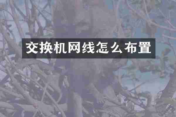 交换机网线怎么布置