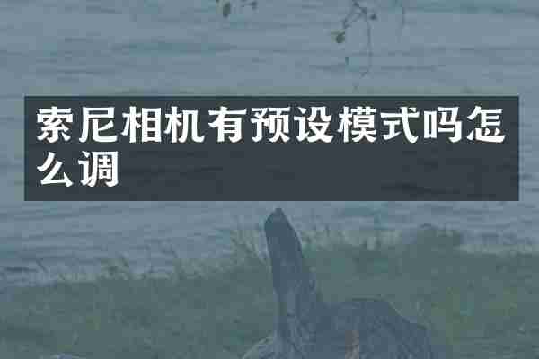 相机有预设模式吗怎么调
