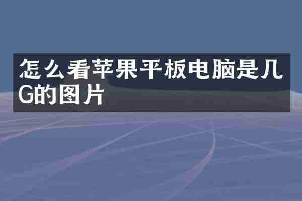 怎么看苹果平板电脑是几G的图片