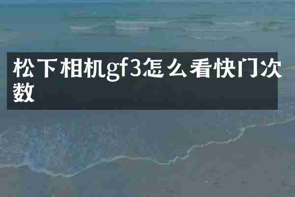 相机gf3怎么看快门次数